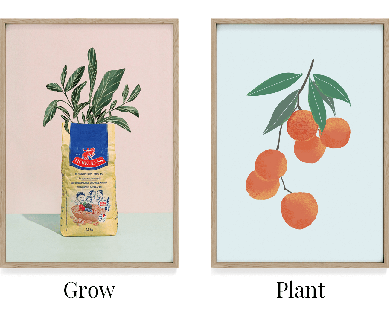 Nordiske plakater perfekt til køkkenet. Plakat med frugter og plakat med planter. 
